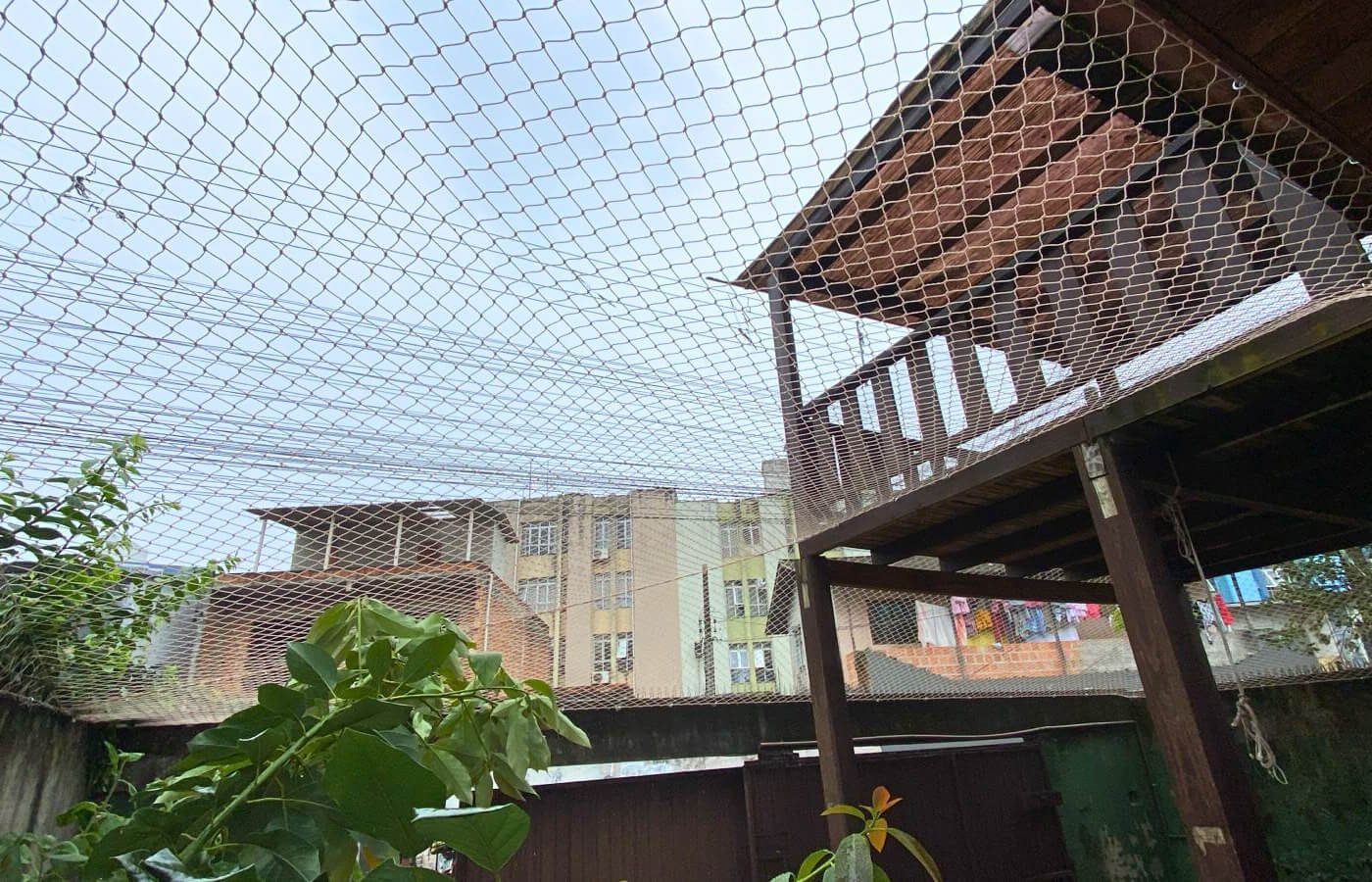 Estrutura de madeira coberta por rede de proteção formando um teto (tipo gatil ou proteção contra quedas de objetos)